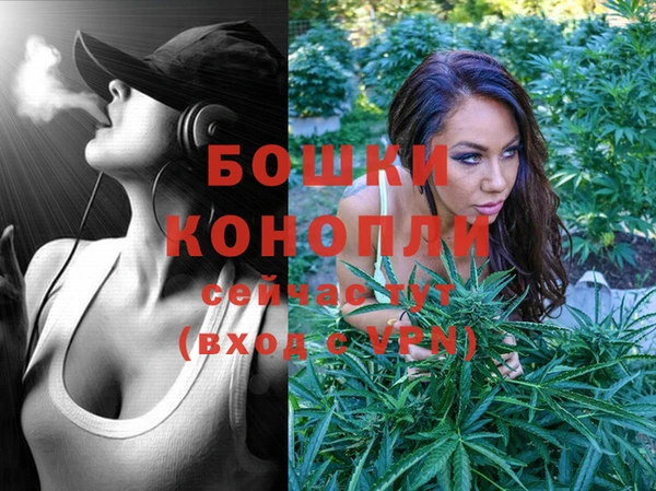 индика Покров