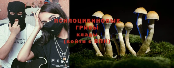 индика Покров