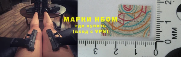 индика Покров