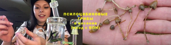 индика Покров