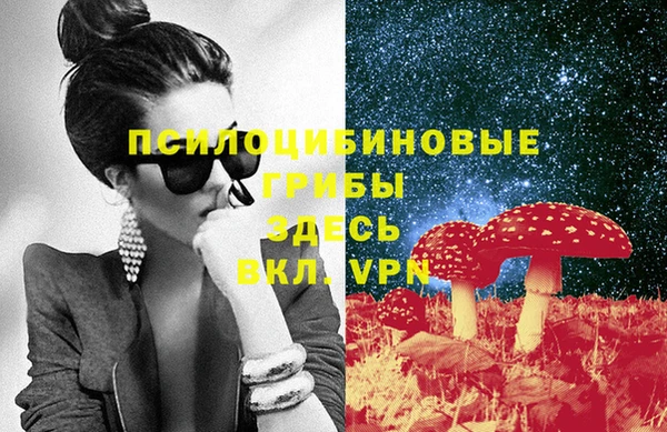 индика Покров