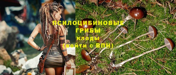 индика Покров