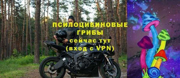 индика Покров