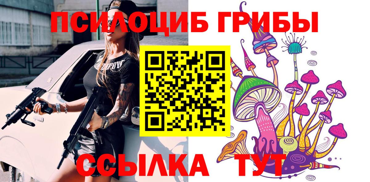 Вязьма  Галлюциногенные грибы прущие грибы  Вход с VPN 