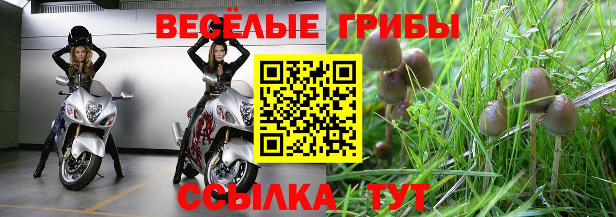 Псилоцибиновые грибы ЛСД Вязьма