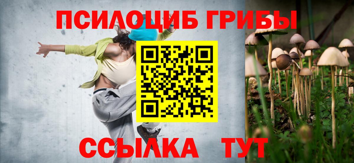 Галлюциногенные грибы Magic Shrooms  Вязьма 